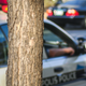 A Minneapolis police cruiser, 2007.